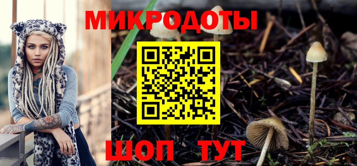 Псилоцибиновые грибы GOLDEN TEACHER Кстово