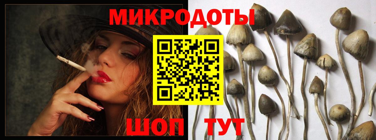 Кстово  Псилоцибиновые грибы Psilocybine cubensis  Вход с VPN 